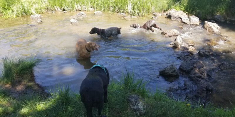 Resized_20250618_115702